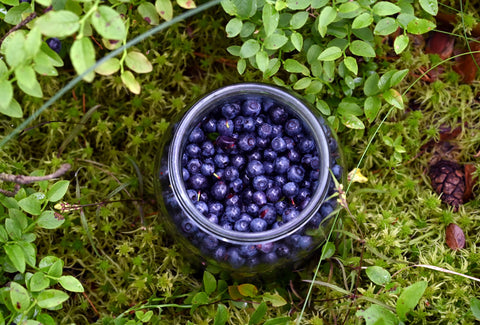 Huckleberries