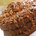 Chocolate Cake Turtle