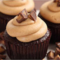Double Chocolate Fudgy Cookie Mix (includes a Salted Peanut Butter Whipped Cream Recipe)