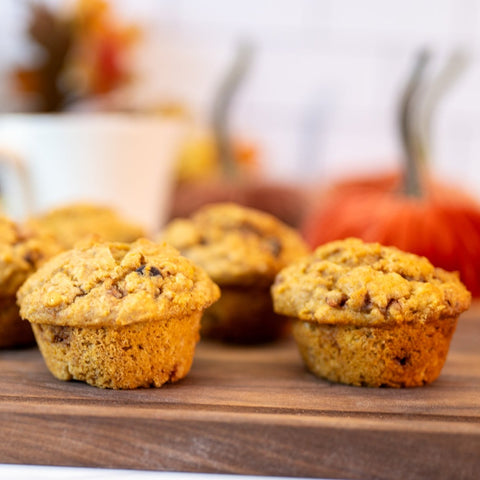 New! Pumpkin Chocolate Chip Just-Add-Water Muffin Mix