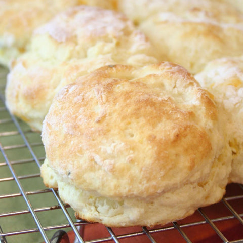 Save 15%! Classic Buttermilk Biscuit Mix (bulk 3lb size)