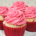 Raspberry Sour Cream Baby Cake Mix (6748135915601)