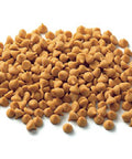 Butterscotch Chips for Baking 11 oz (6746954858577)