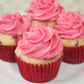 Raspberry Cream Cheese Frosting Mix (6746957414481)