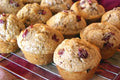 Cranberry Vanilla Just-Add-Water Muffin Mix (6748140765265)