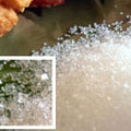 Decorative White Sugar Crystals 28 oz (6746953252945)